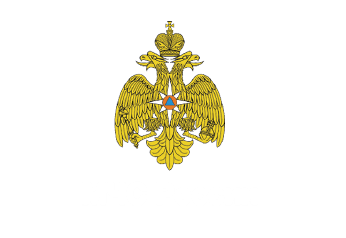 logo_MCHS